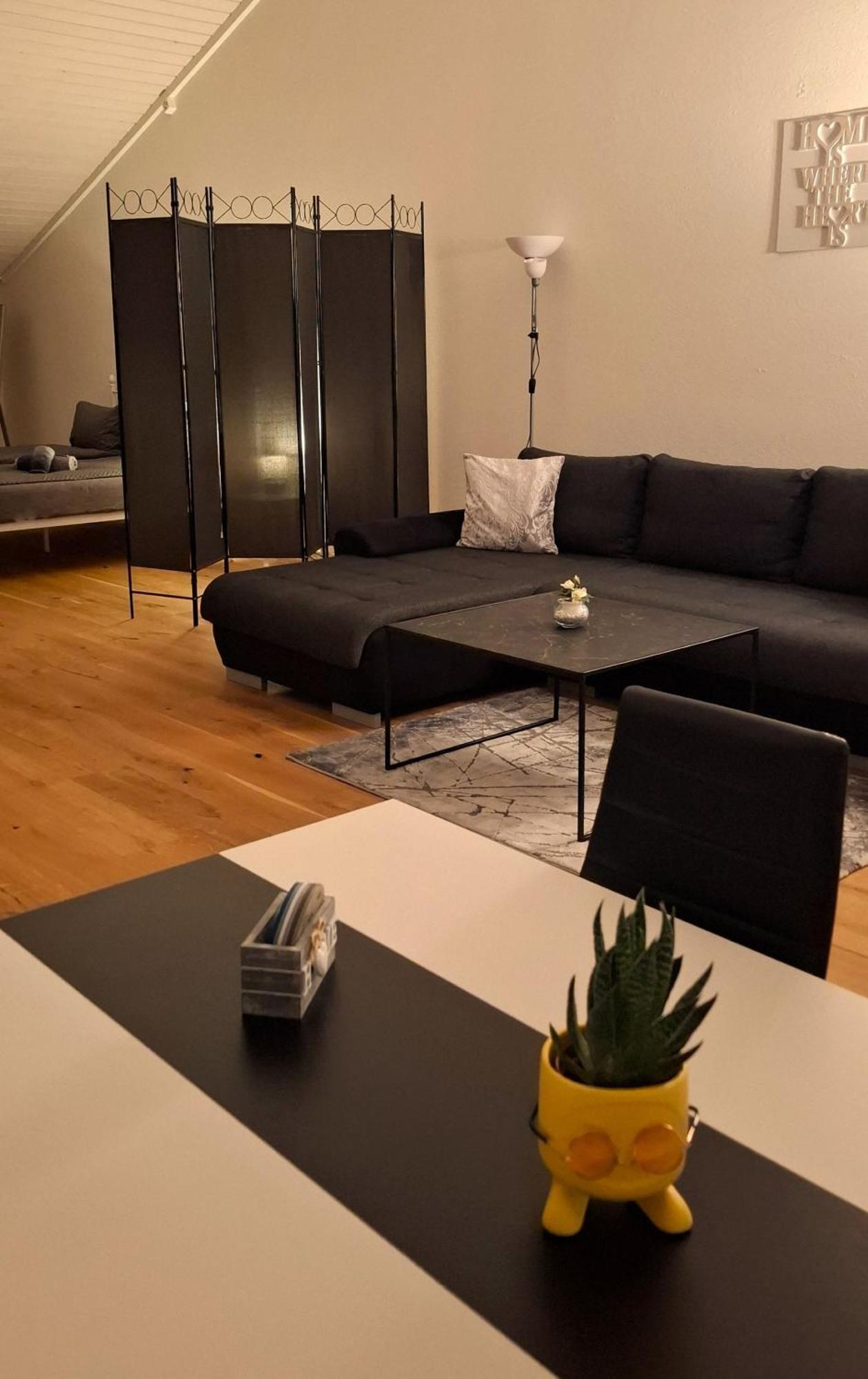 Muota River Loft & Muota Industry Apartment Near Stoos Muotathal Екстер'єр фото